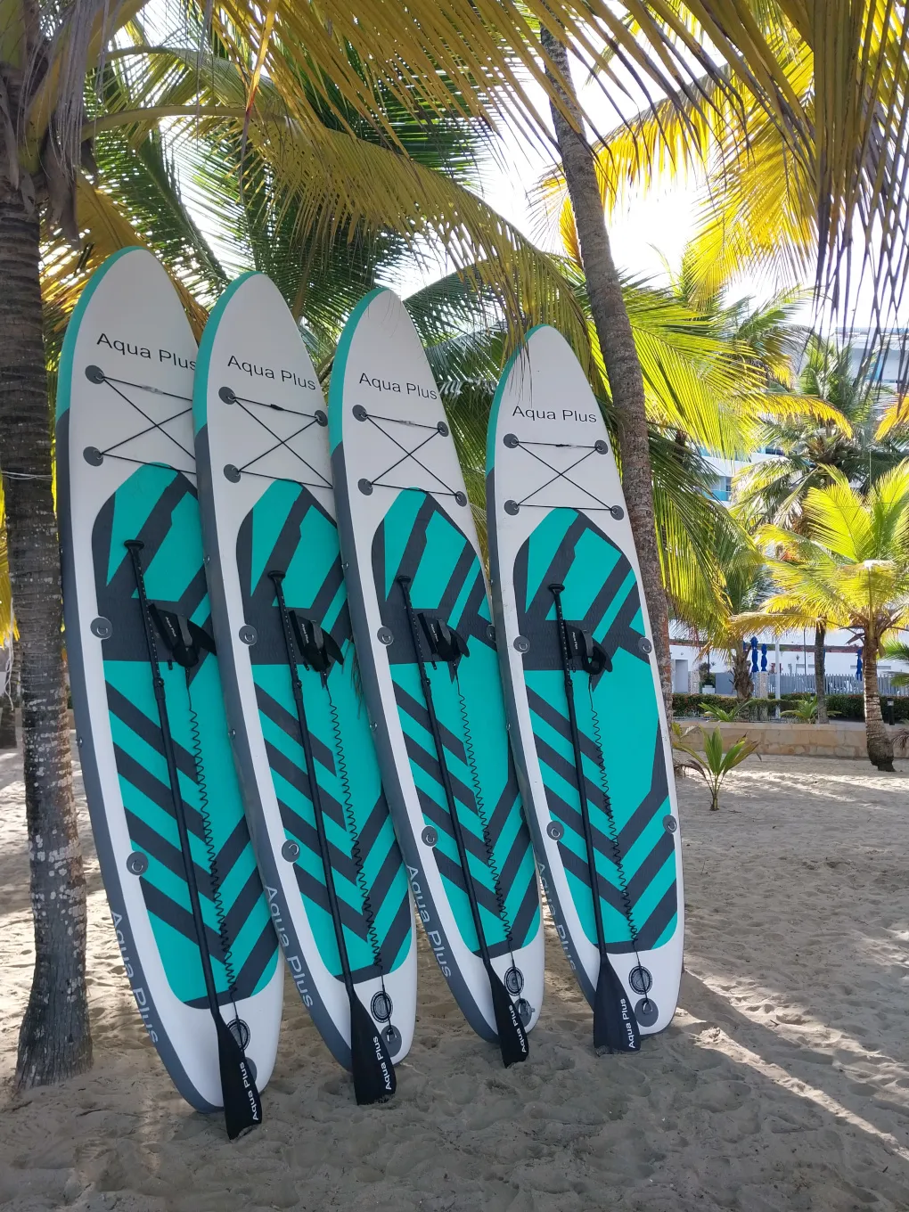 paddle boards