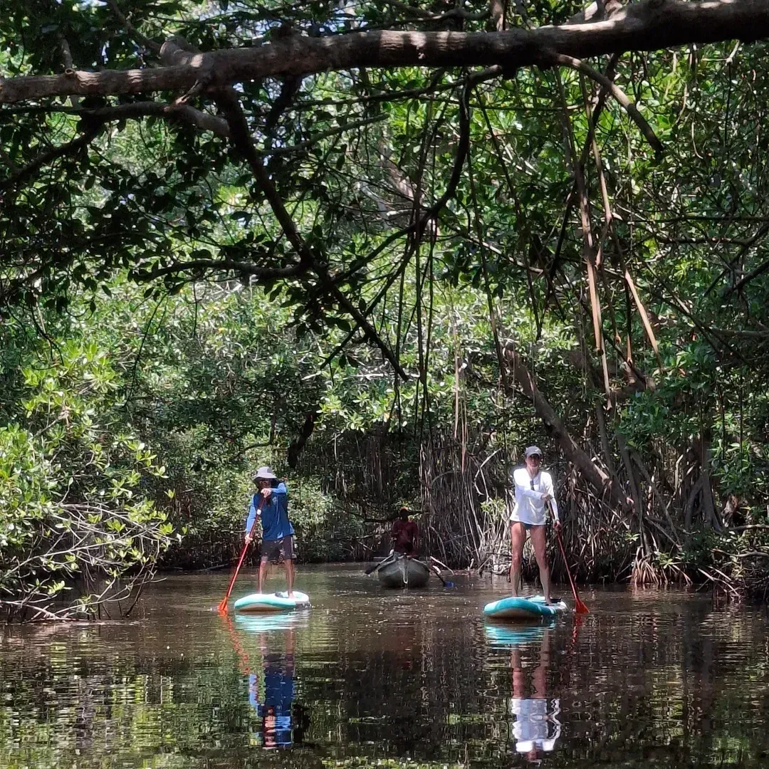 Ciénaga de la Caimanera