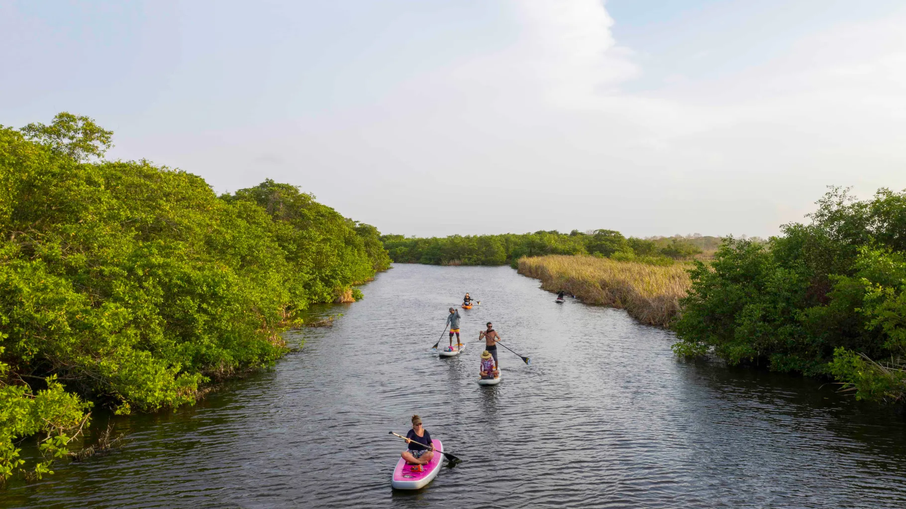 people paddleing