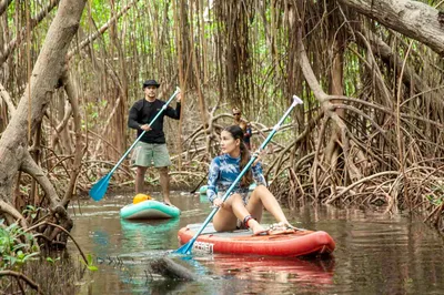 Paddleboarding in Ciénaga de la Caimanera